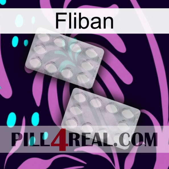 Fliban 17